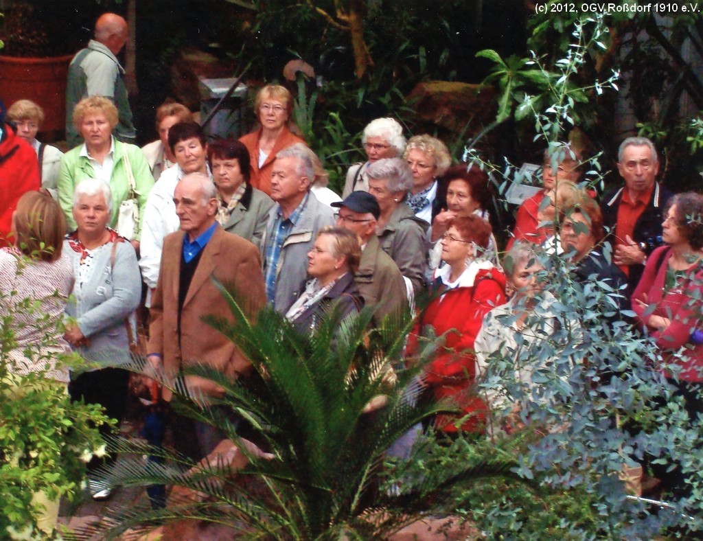 OGV-Frauenstammtisch - Ausflug in den Palmengarten